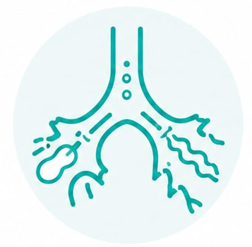 Airway Abnormalities